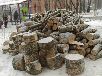 Удаление деревьев и распил на дрова. Киров